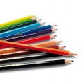 карандаши Цветные