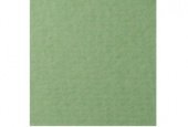 Бумага д/пастели 210*297 Зелёный Сок 160г/м² LANA